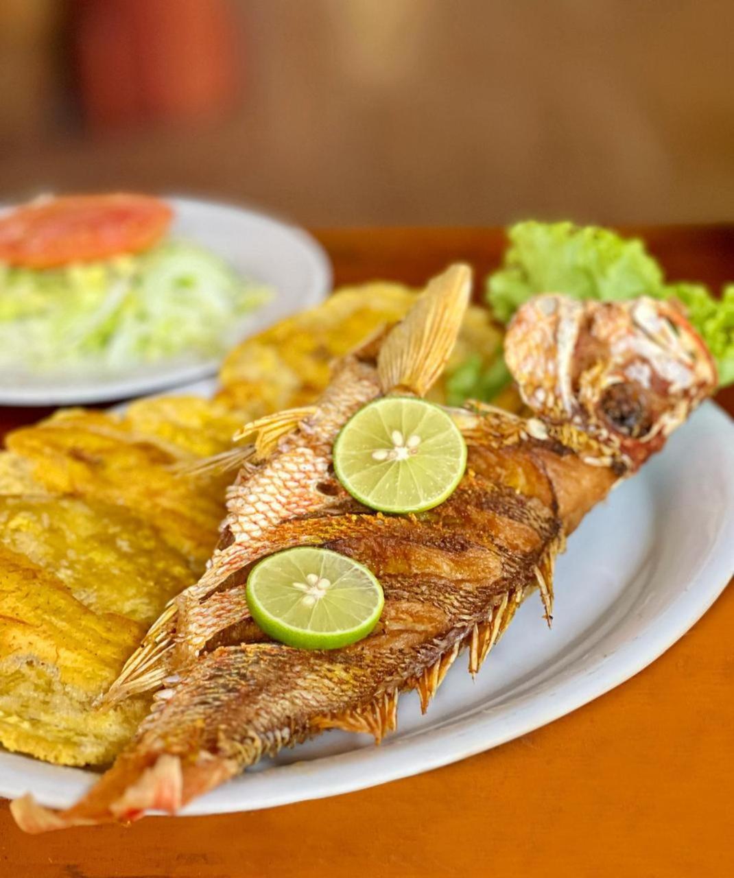 Arca Tayrona Restaurant & Hostal Los Naranjos Exteriör bild